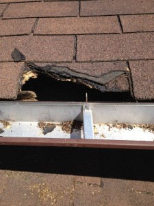 damage to roof