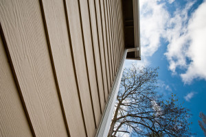 Downspout and siding on an urban house