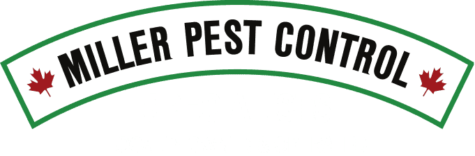 Peterborough Pest Control